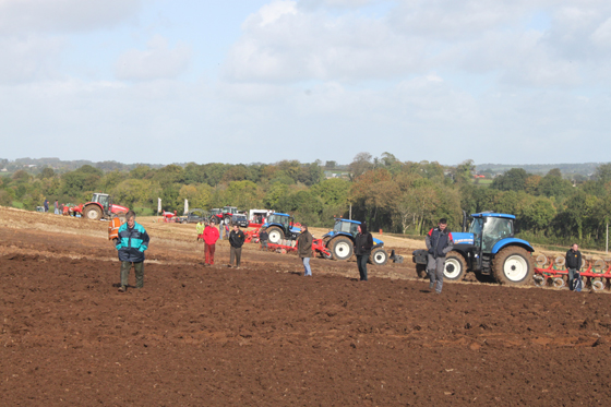 Reas-of-Finvoy-083-560