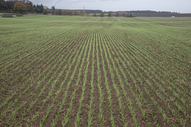 David Atkinson 6m u-drill MD disc customer UK Field