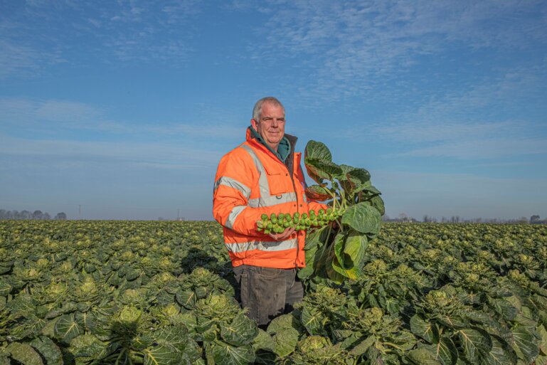 Steve Mayfield, Thorolds Produce